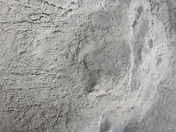 鈷粉回收廠家 收購廢鈷價格 當(dāng)天行情咨詢 鈷粉回收廠家 收購廢鈷價格 當(dāng)天行情咨詢